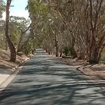 Treetops Escape Albury