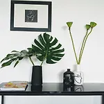The Botanical 301