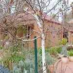 Albury Cottages