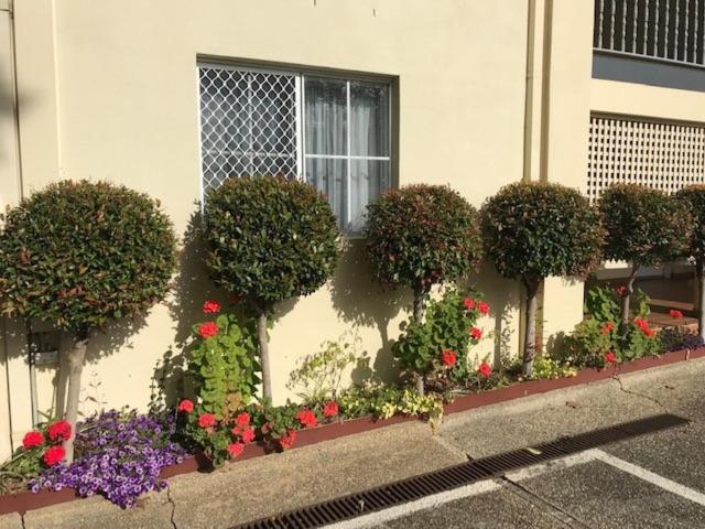 Hotel Georgian & 4*
