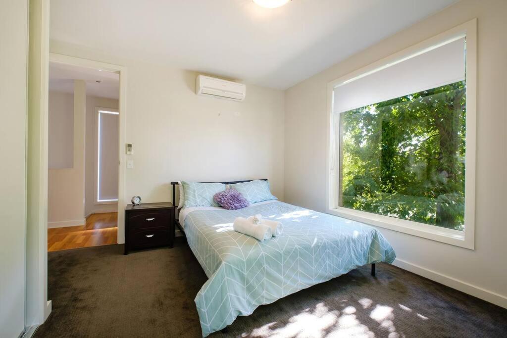 Splendour On Sackville Albury