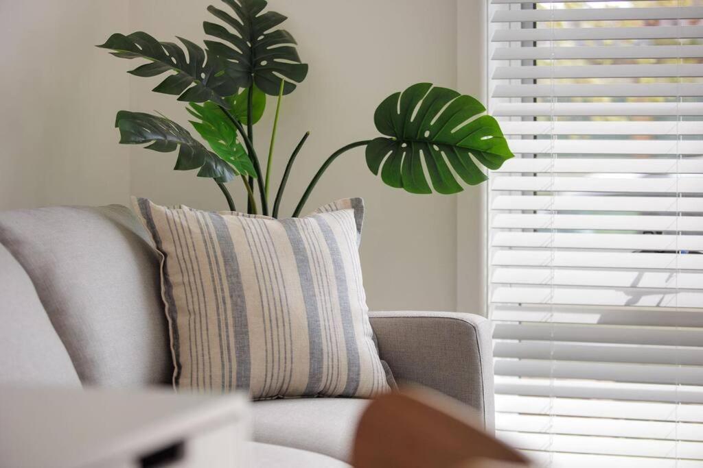 Classic Chic On Olive * Albury