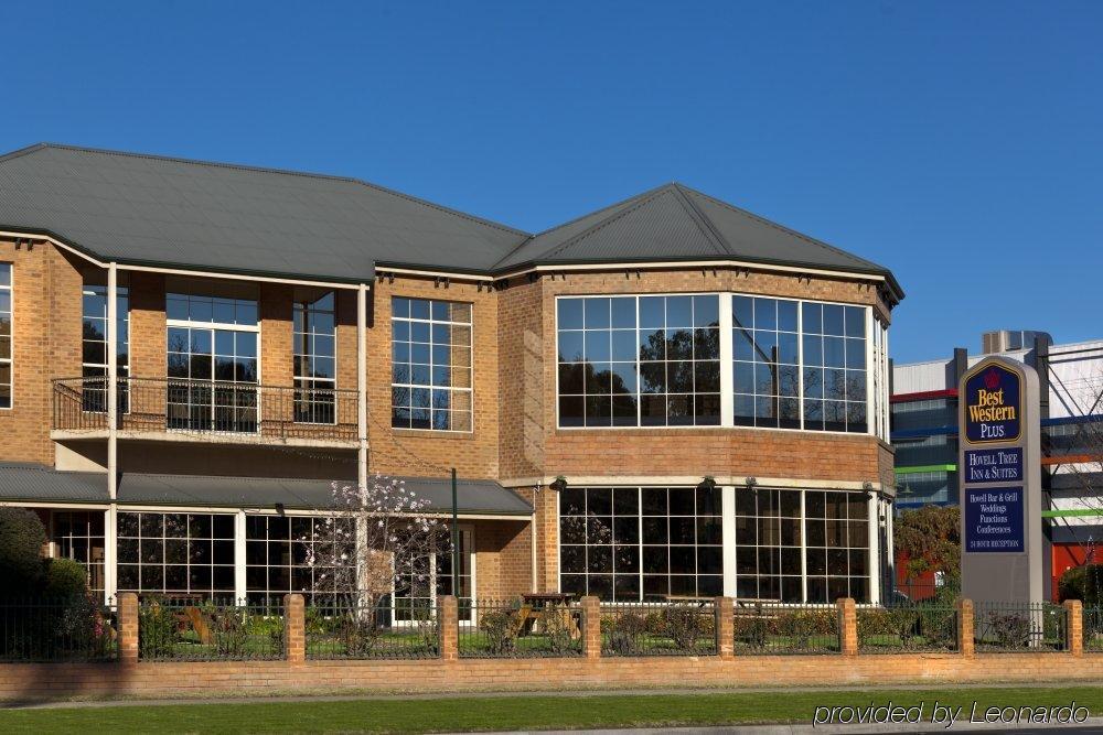 Western Hovell Tree 4* Albury