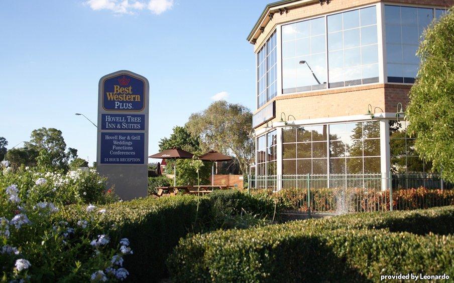 Western Hovell Tree Motel