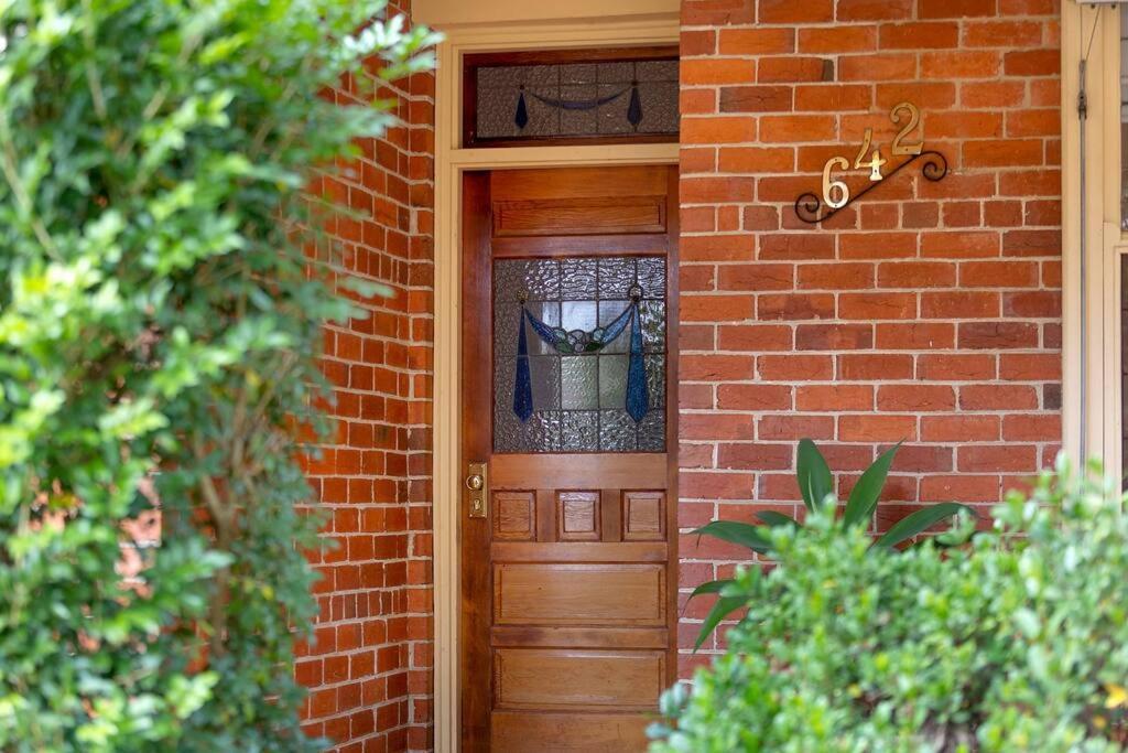 White Rabbit On Jones- Sophistication Albury