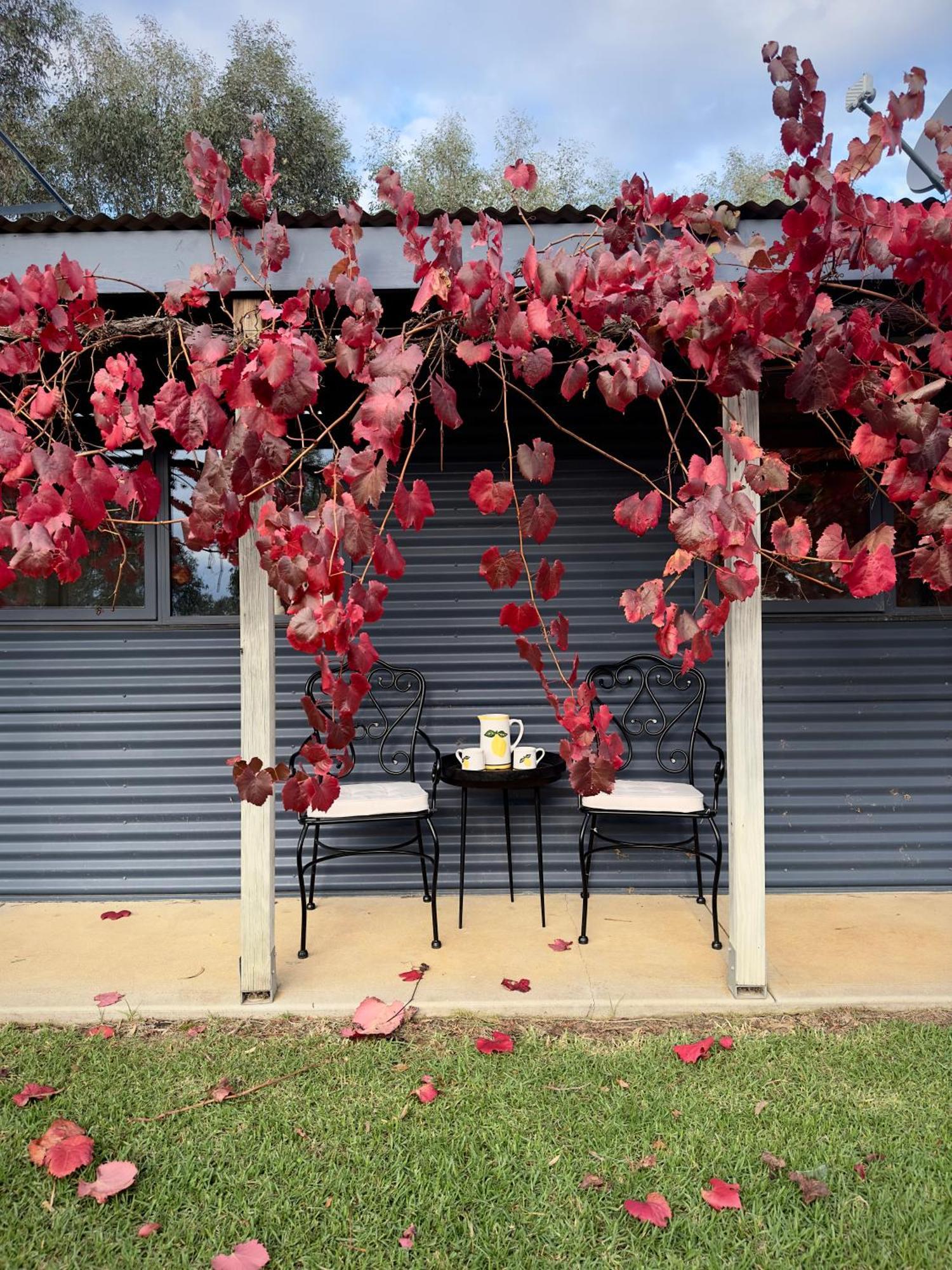 Peaceful Getaway In Stunning Bush Setting Country house *