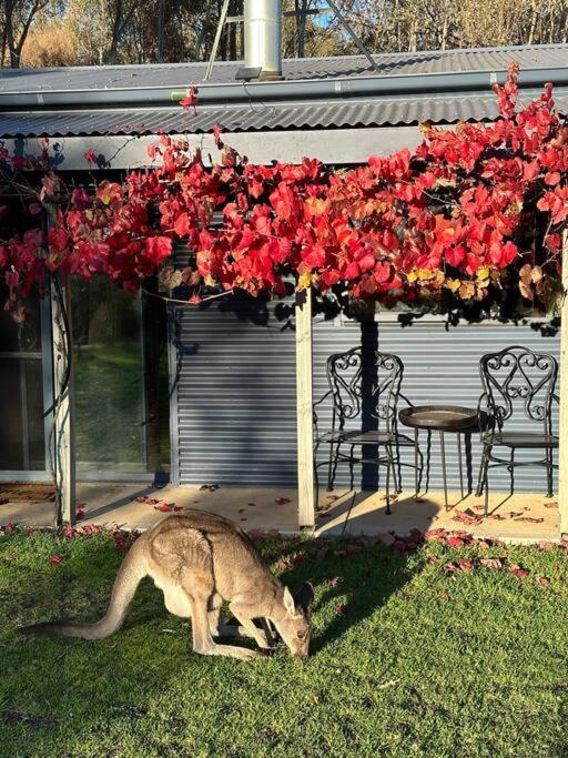 Country house Peaceful Getaway In Stunning Bush Setting Albury