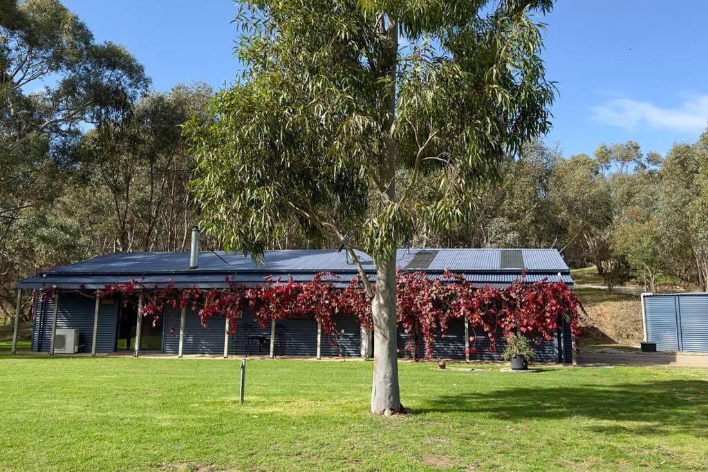 Country house Peaceful Getaway In Stunning Bush Setting *