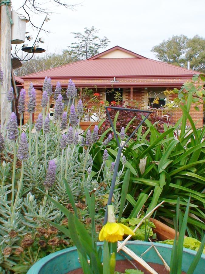 Albury Cottages Albury