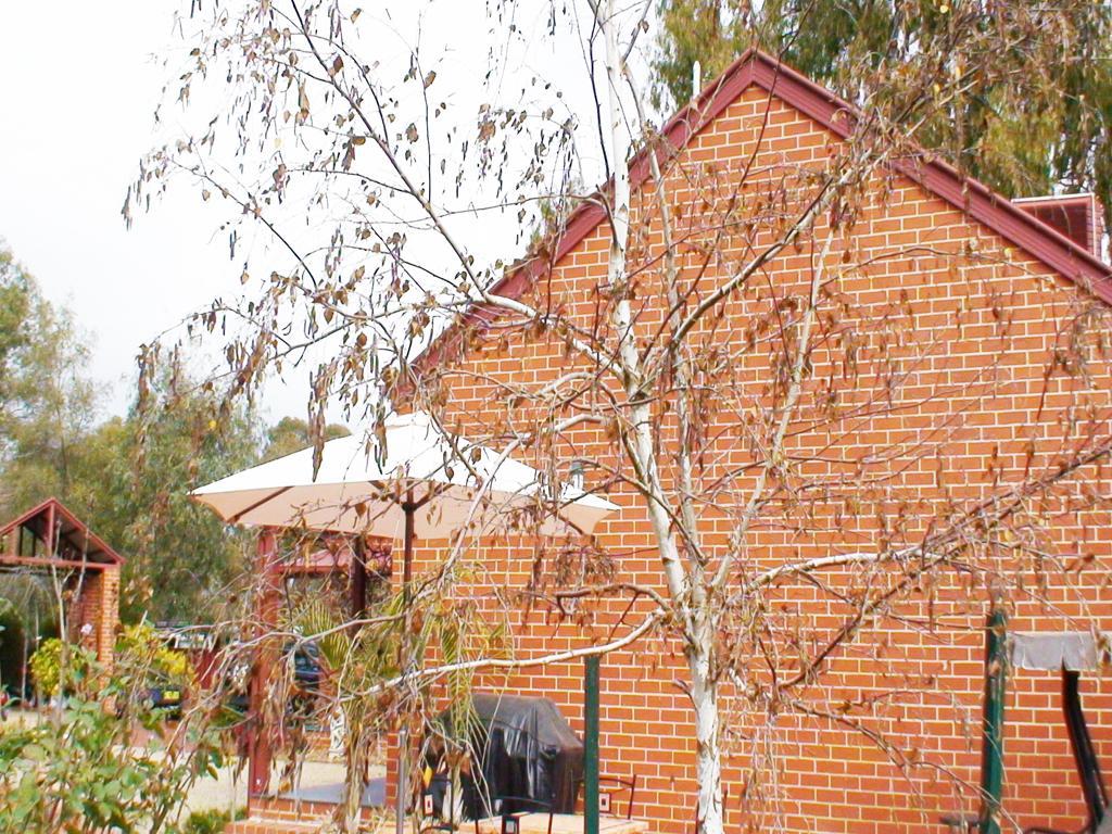 Albury Cottages