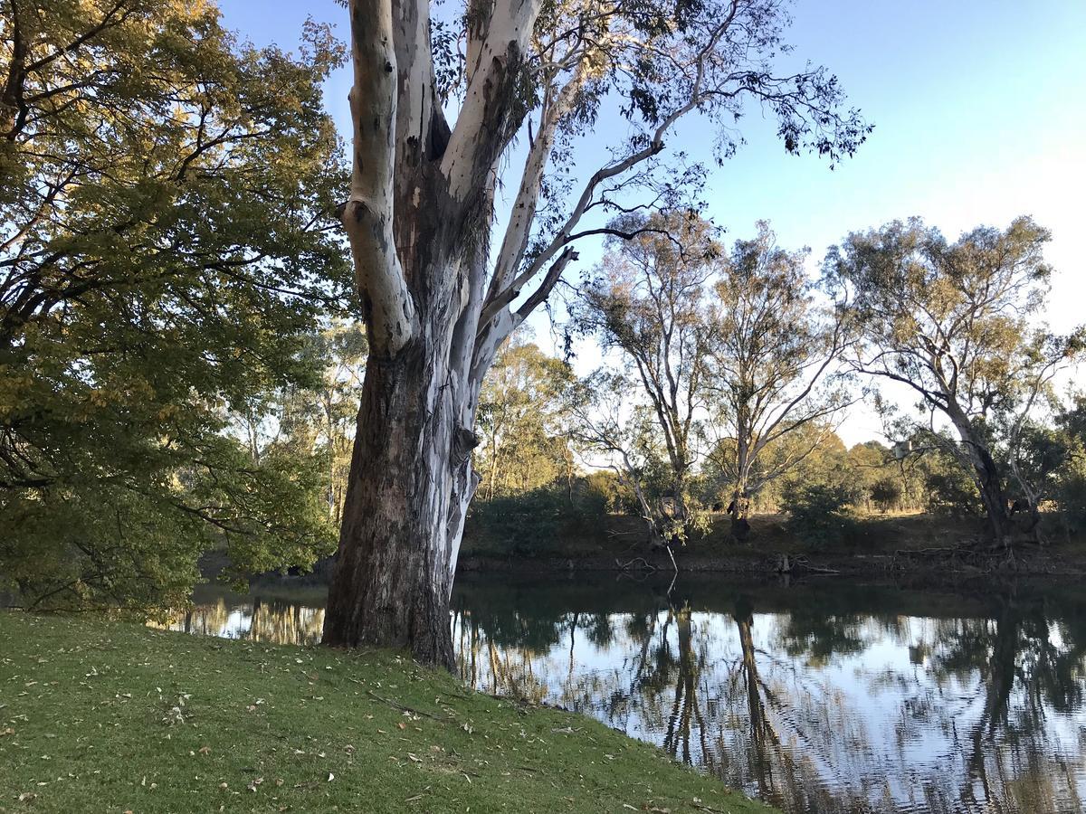 The Botanical 201 Albury