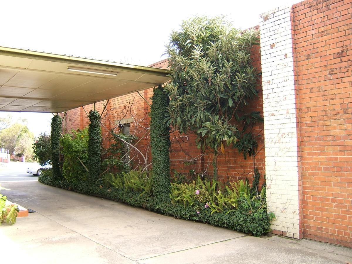 Clifton Albury