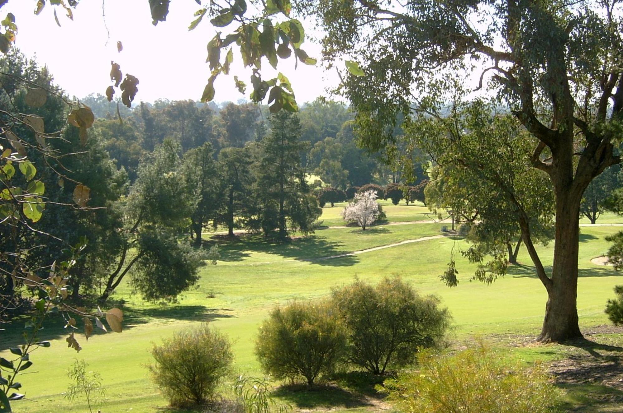 Commercial Golf 4*