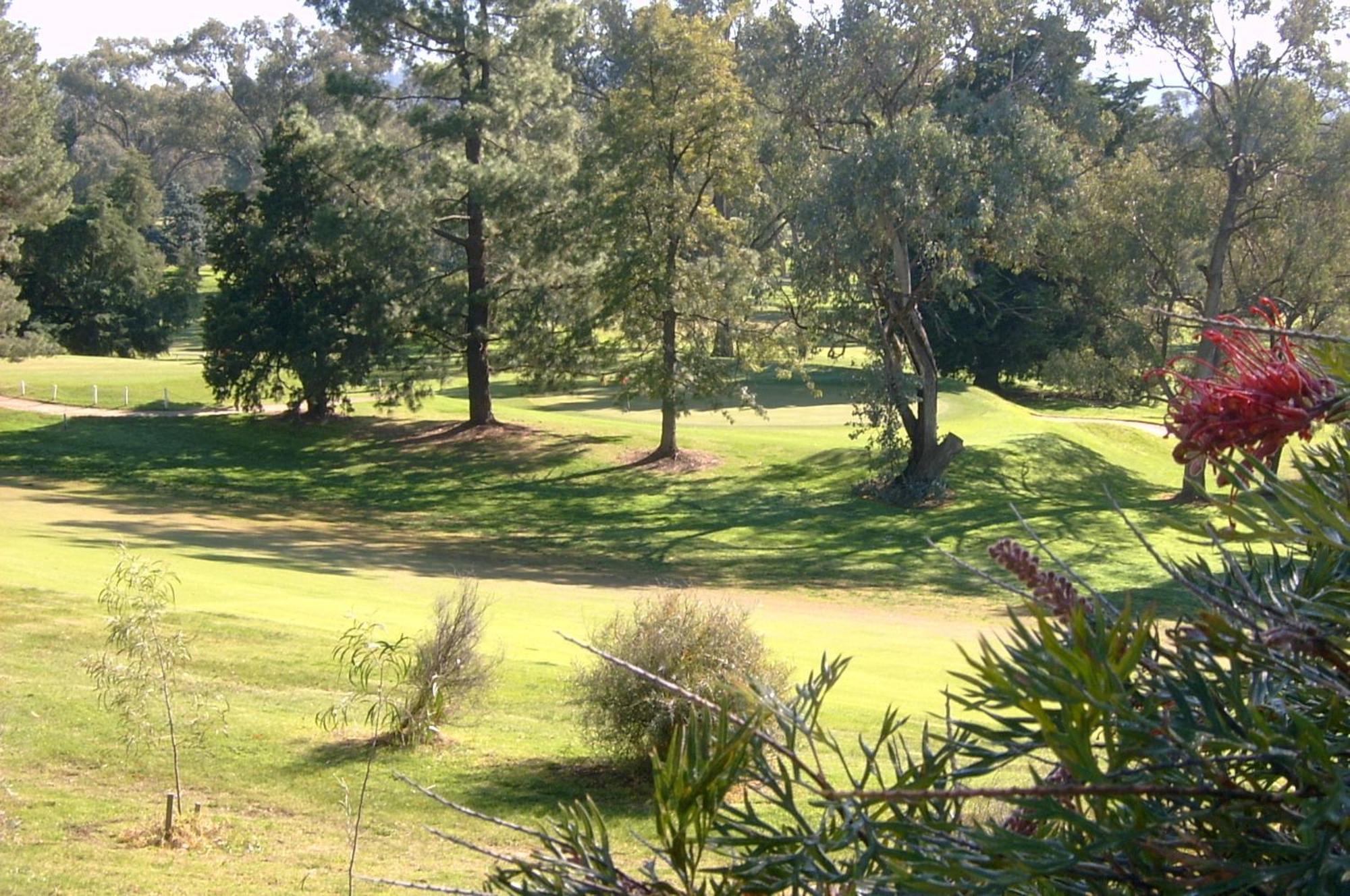 Commercial Golf Motel 4*