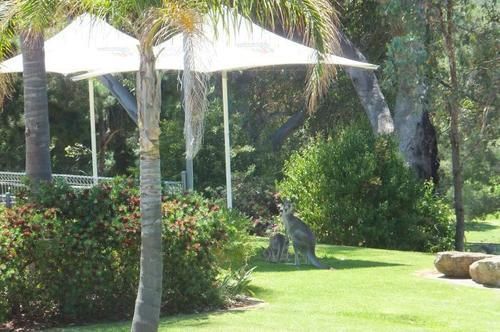 Commercial Golf Motel